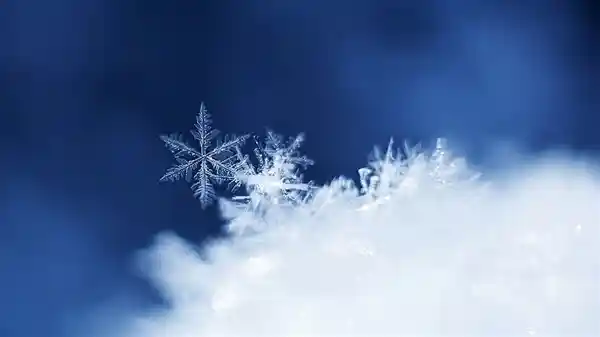 冬至快乐？民俗学家揭秘不宜祝福背后的禁忌