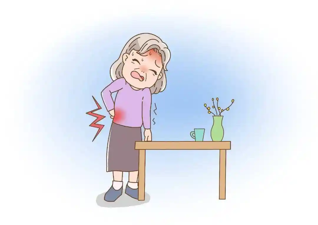 冬季腰酸腿冷？试试这款美味暖身补土食材，暖心又暖胃！