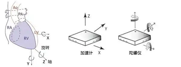 探秘新科技：手机胸口一放，秒懂心脏健康！