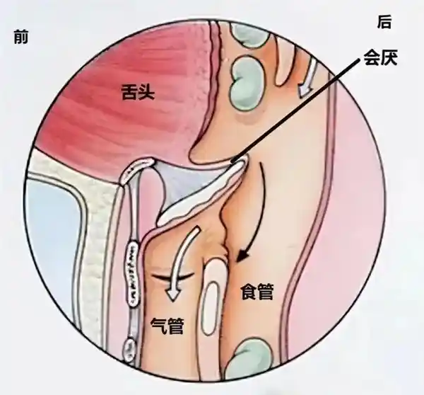 惊人发现：饭桌上发出声音竟可能致命！