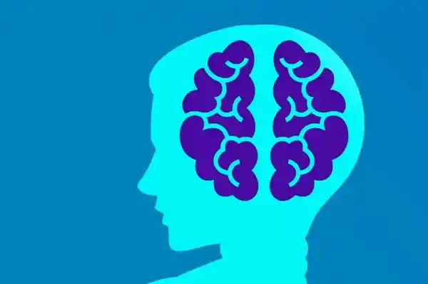 人脑决策速度惊人缓慢！科研揭秘一心多用难题