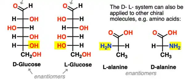 科学家揭秘：神秘的镜像细菌背后隐藏的危机