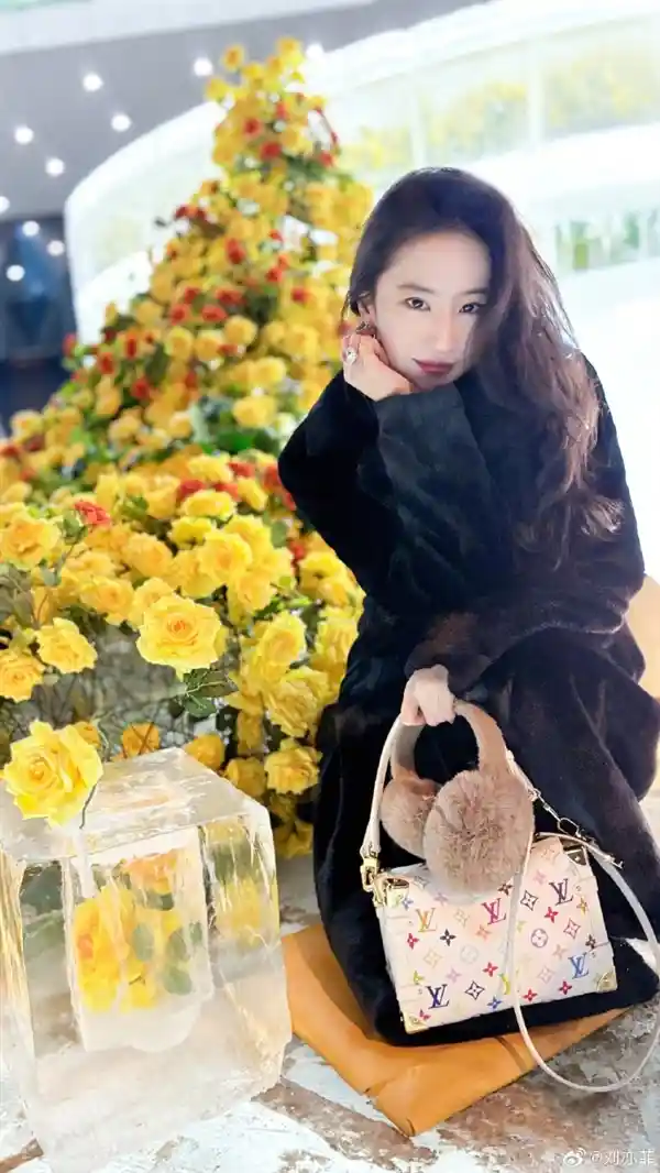 刘亦菲冬日寻雪之旅：哈尔滨冰封黄玫瑰等待她的到来