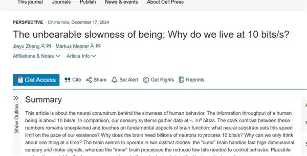 人类思维速度被揭秘：每秒只有10比特！科技时代如何适应这种慢速生活？
