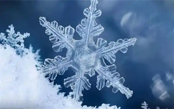 【揭秘雪花的神秘之美：原来它们的瓣数不止一个！】