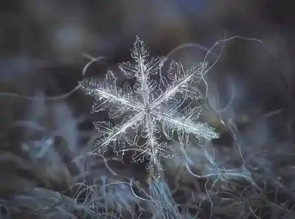 【揭秘雪花的神秘之美：原来它们的瓣数不止一个！】