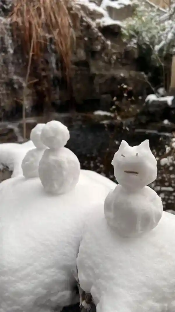 【揭秘雪花的神秘之美：原来它们的瓣数不止一个！】