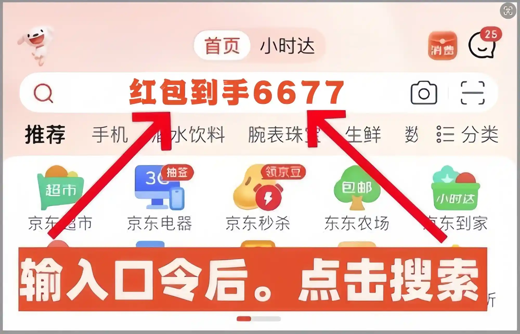 2025年年货节大揭秘：淘宝天猫与京东联手推出惊喜活动