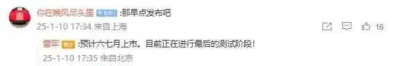 雷军透露：SUV爱好者们，等等再买！