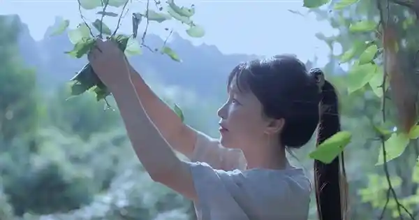 神仙姐姐李子柒：手工缝制螺钿披风，美得惊艳如仙