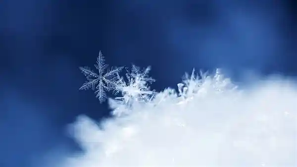 俄罗斯模特冰雪丽影：哈尔滨拍摄极寒宣传片