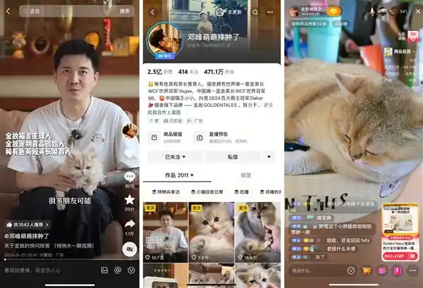 揭秘23+品牌拆解揭示最新潮流趋势，引领时尚前沿！