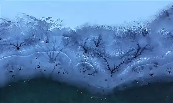 新疆神奇湖泊惊现水晶蝴蝶，网友惊叹大自然鬼斧神工