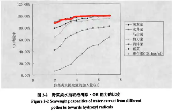 挑战味蕾！揭秘国外评选的「养生宝藏蔬菜」，90%民众未曾尝过