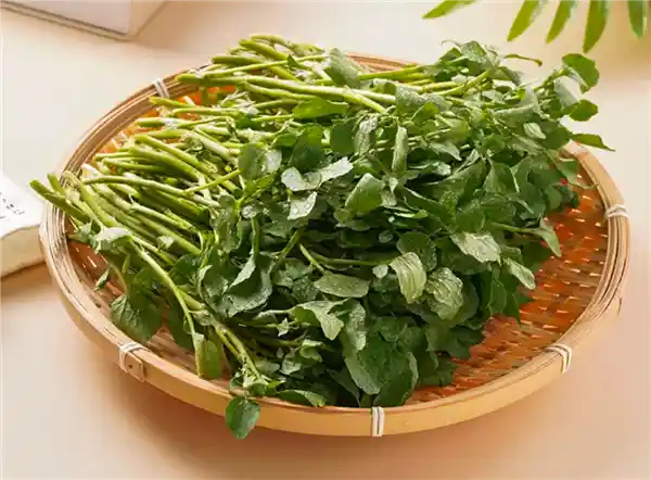 揭秘全球最具营养活力的蔬菜：你尝试过的可能不到10%