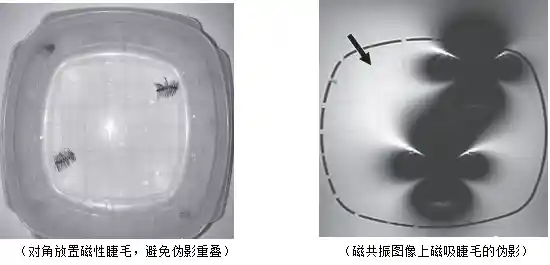 假睫毛狂热者的现状：揭秘他们的新生活