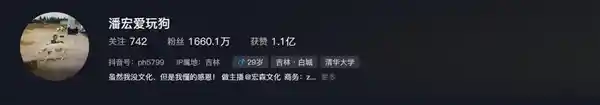 网红狗狗离世，主人带着艾特回家，感动万千网友