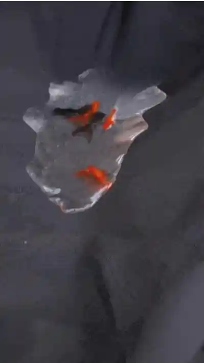 风生水起！品牌迎接新一代消费者的涌入