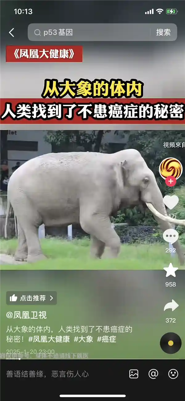 人类破解大象基因，揭开不患癌症之谜！