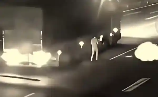 夜晚高速现活鱼！男子惊险停车救援，引发后方车辆混乱