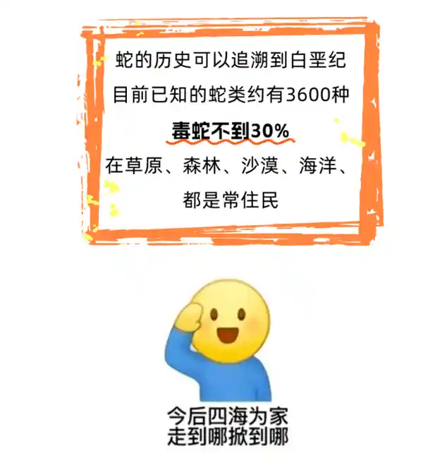 五步蛇咬伤人只需四步致命？
