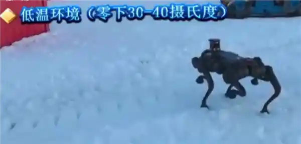 南极之行：六足机器狗助力运输开路，冰雪探险新利器