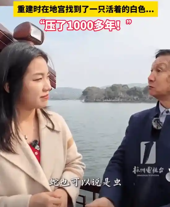雷峰塔下神秘白色虫子现身：沉睡千年后竟然还活着