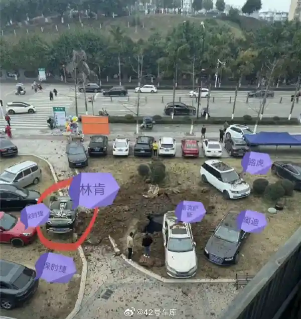 爆炸化粪池意外后，父亲欲出售房屋赔偿：保险公司应承担责任吗？
