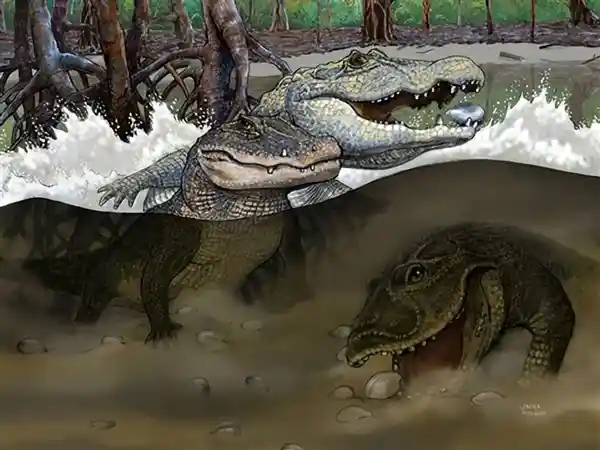 超级生物：探秘地球上最巨大、最独特的生物群落