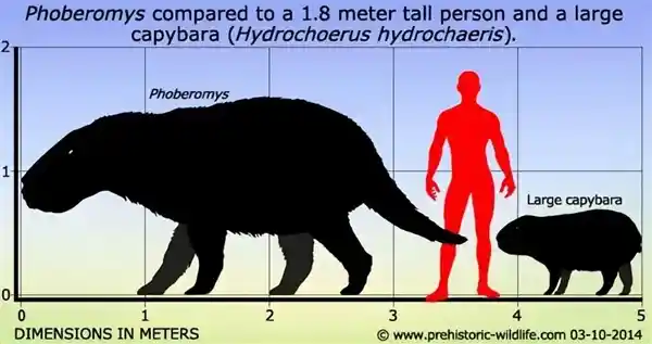 超级生物：探秘地球上最巨大、最独特的生物群落