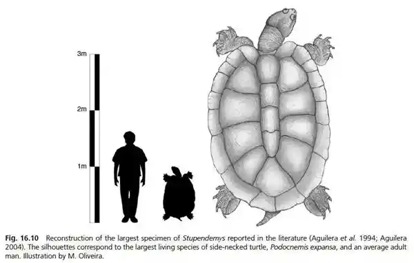 超级生物：探秘地球上最巨大、最独特的生物群落