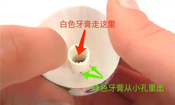 神奇之谜揭秘：彩条牙膏为何能够挤出不混色？