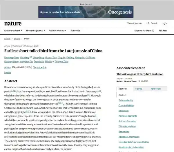 中国科学家发现鸟类新祖宗：比始祖鸟更鸟类 大小接近鹦鹉