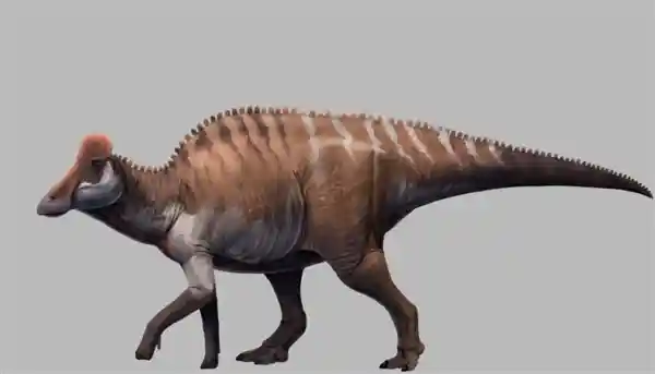 南海惊现！揭秘7000万年前恐龙化石