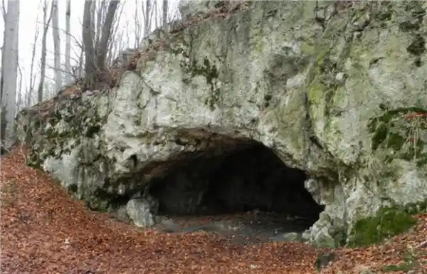 触目惊心！史前人类食用人类大脑现证据，考古发现震惊18000年前行为