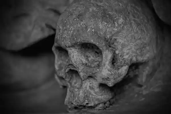 触目惊心！史前人类食用人类大脑现证据，考古发现震惊18000年前行为