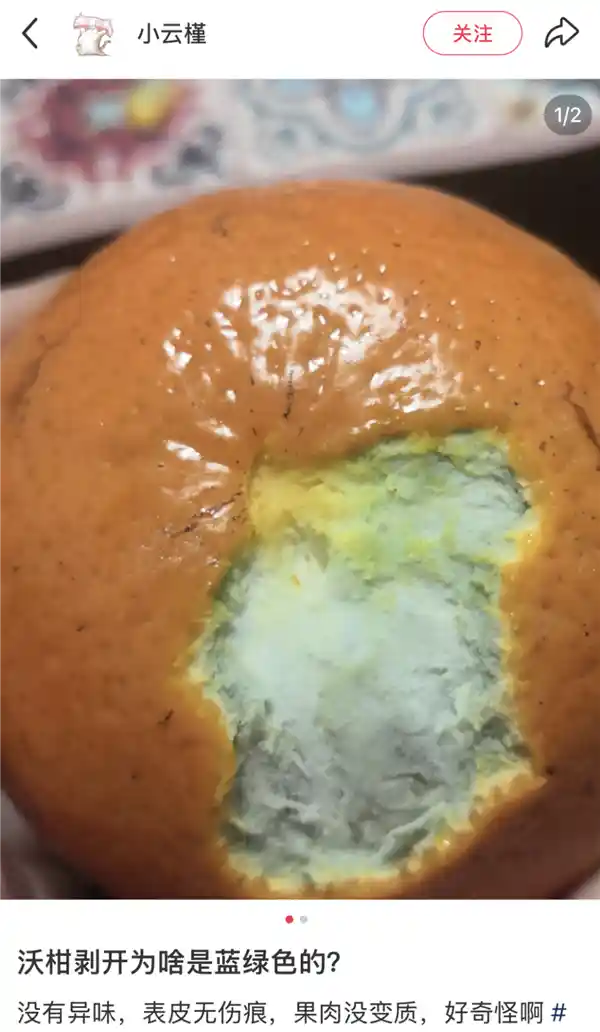 揭秘橘子果皮变蓝之谜：是霉变还是未知现象？食品安全引关注