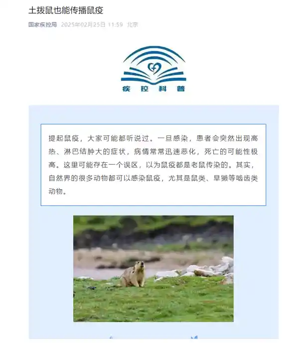 《哪吒2》热映带火土拨鼠，专家紧急警示：虽萌不可近，警惕鼠疫传播风险