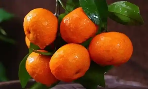 新标题：新年狂欢上火？4招教你快速降火解渴！