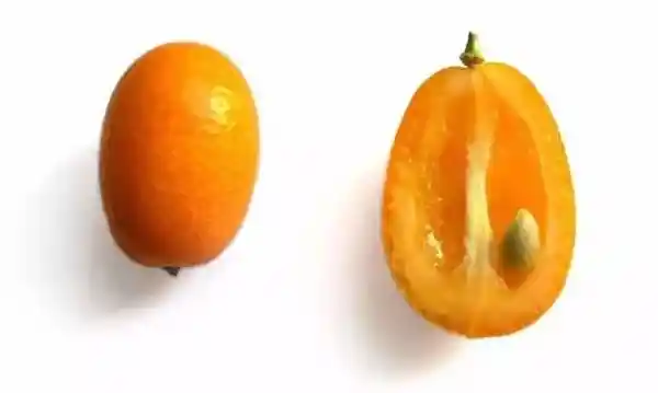 金橘之谜：揭秘你不知道的神秘水果
