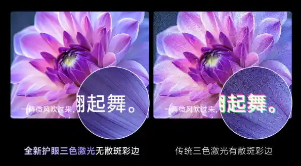 2025年最值得期待的家用投影仪品牌大揭秘