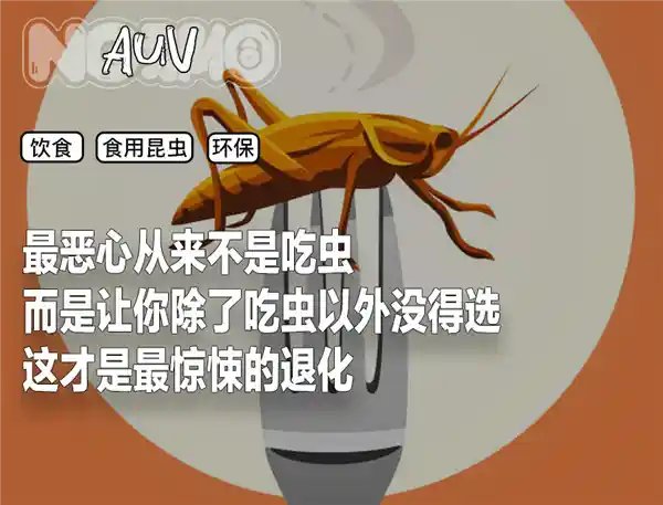 欧洲或将启动虫食计划，探索新型饮食趋势