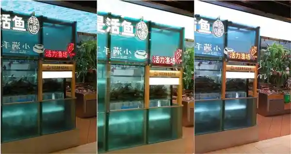 翱捷科技引领MWC2025：智能手机芯片创新升级，智能穿戴产品引领潮流