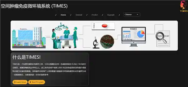 中国科大研发出突破性AI工具：精准预测肝癌复发，准确率达82.2%
