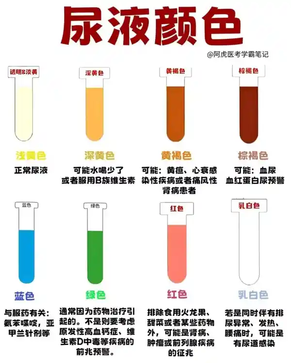 小心！早晨第一泡尿，身体正在发出求救信号！