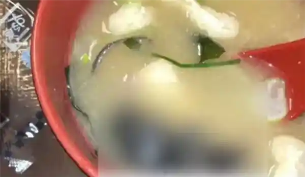 惊曝！知名连锁店味噌汤中惊现老鼠尸体，揭秘食材背后的秘密