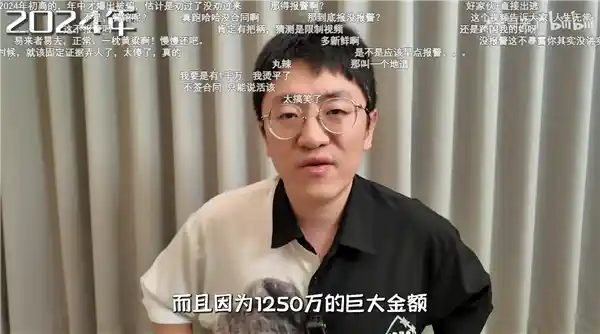 《从百万收入到巨额负债：B站顶流UP主的跌宕人生》