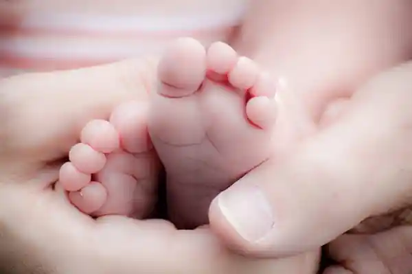 《未来机器人或将为人孕育新生：当科技遇见伦理的边界》