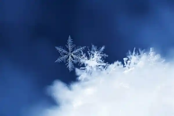 暴雪中的济南：大明湖被白雪覆盖