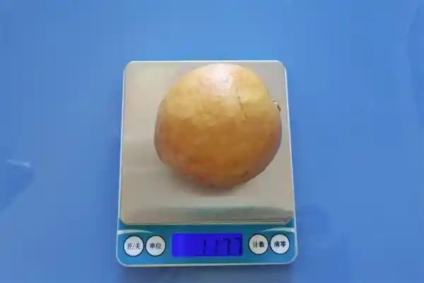 维C含量比苹果高21倍的通便水果，春季食用效果更佳！